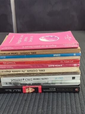 Bundle Of 11 Romanian Language Books